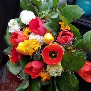 Meet your Posher, Olynthia